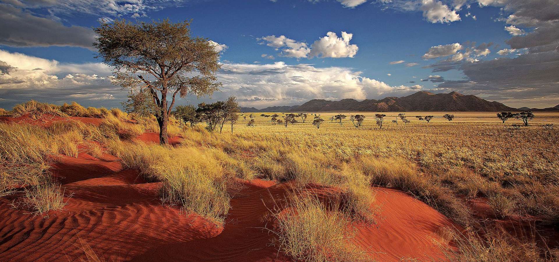 Namib Rand Nature Reserve