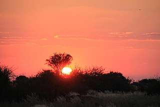 Abendstimmung in der Kalahari