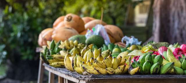 Tropische Früchte in Hülle und Fülle: ganzjährige Saison Ein Tisch voller Bananen und anderen Früchten