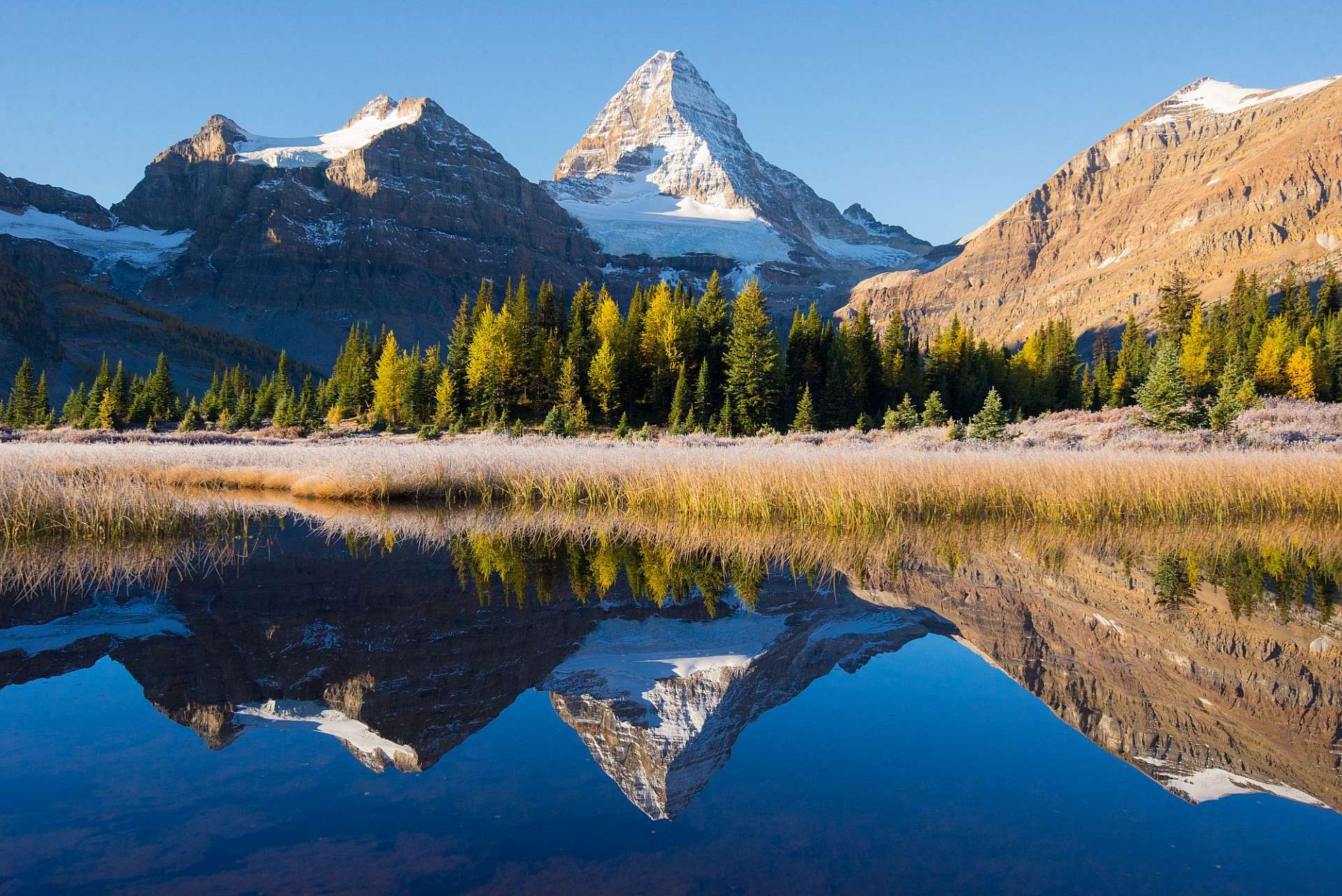 Alberta Prärie und pulsierende Städte