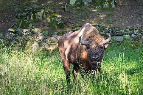 Blekinge: Schwedens üppiger Garten
