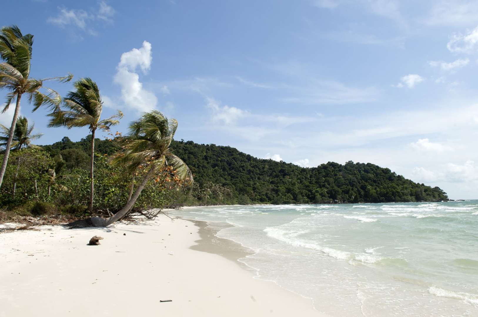 Ein Strand mit Palmen und einem Berg im Hintergrund