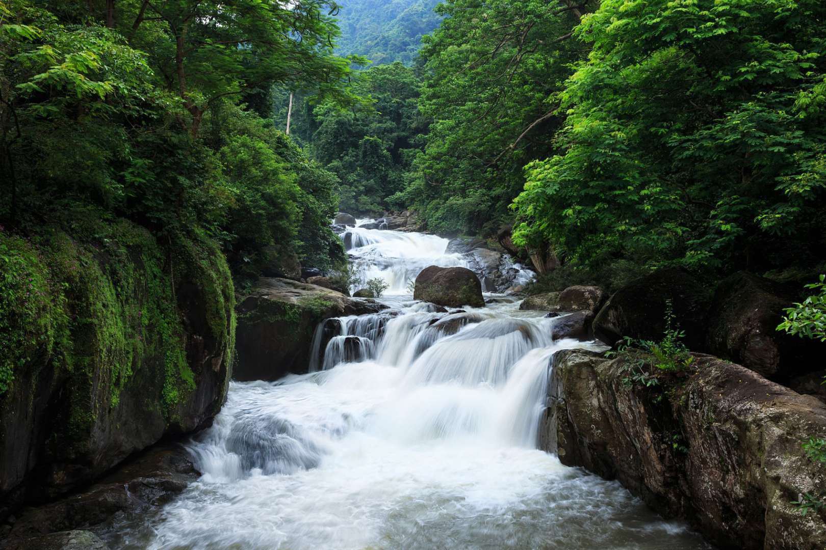 Ein Wasserfall inmitten eines grünen Waldes