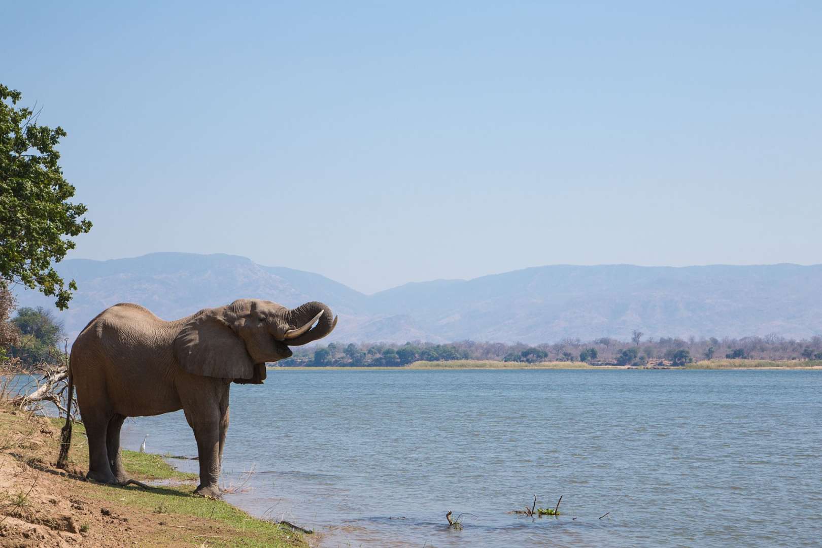 Ein elefant steht am ufer eines sees mit bergen im hintergrund