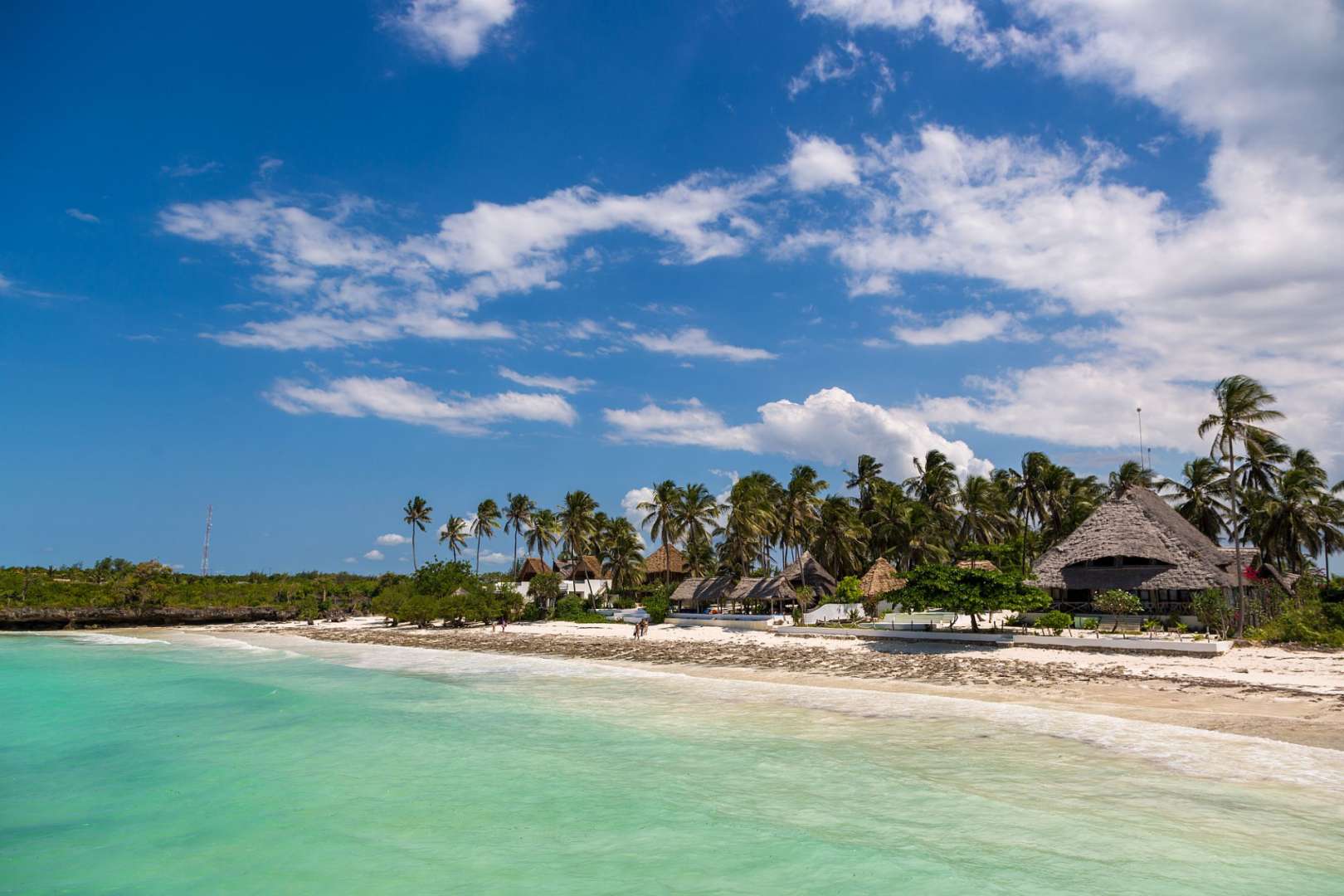 Ein Strand mit vielen Palmen und einem Haus aus Stroh