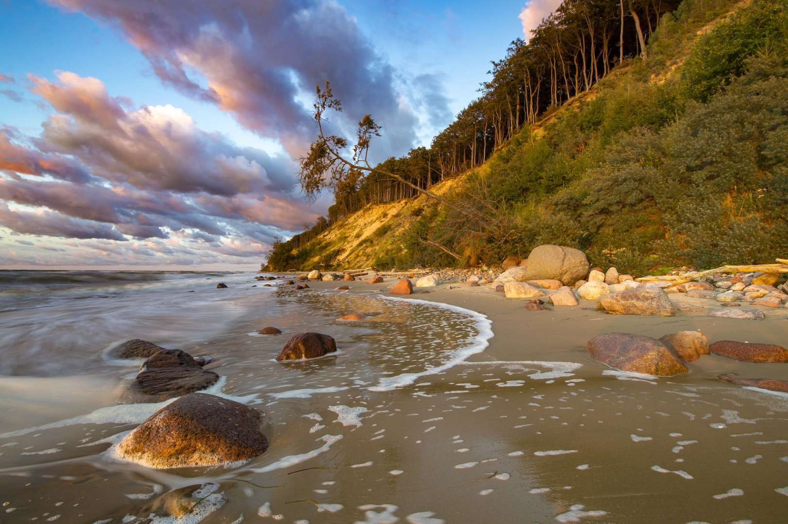 Ein Strand mit Felsen und Bäumen an einem bewölkten Tag