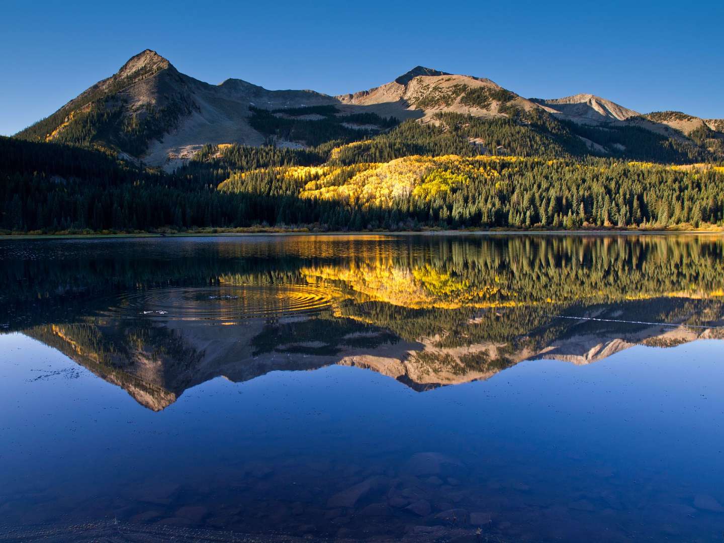 Ein Berg spiegelt sich in einem See mit Bäumen im Hintergrund