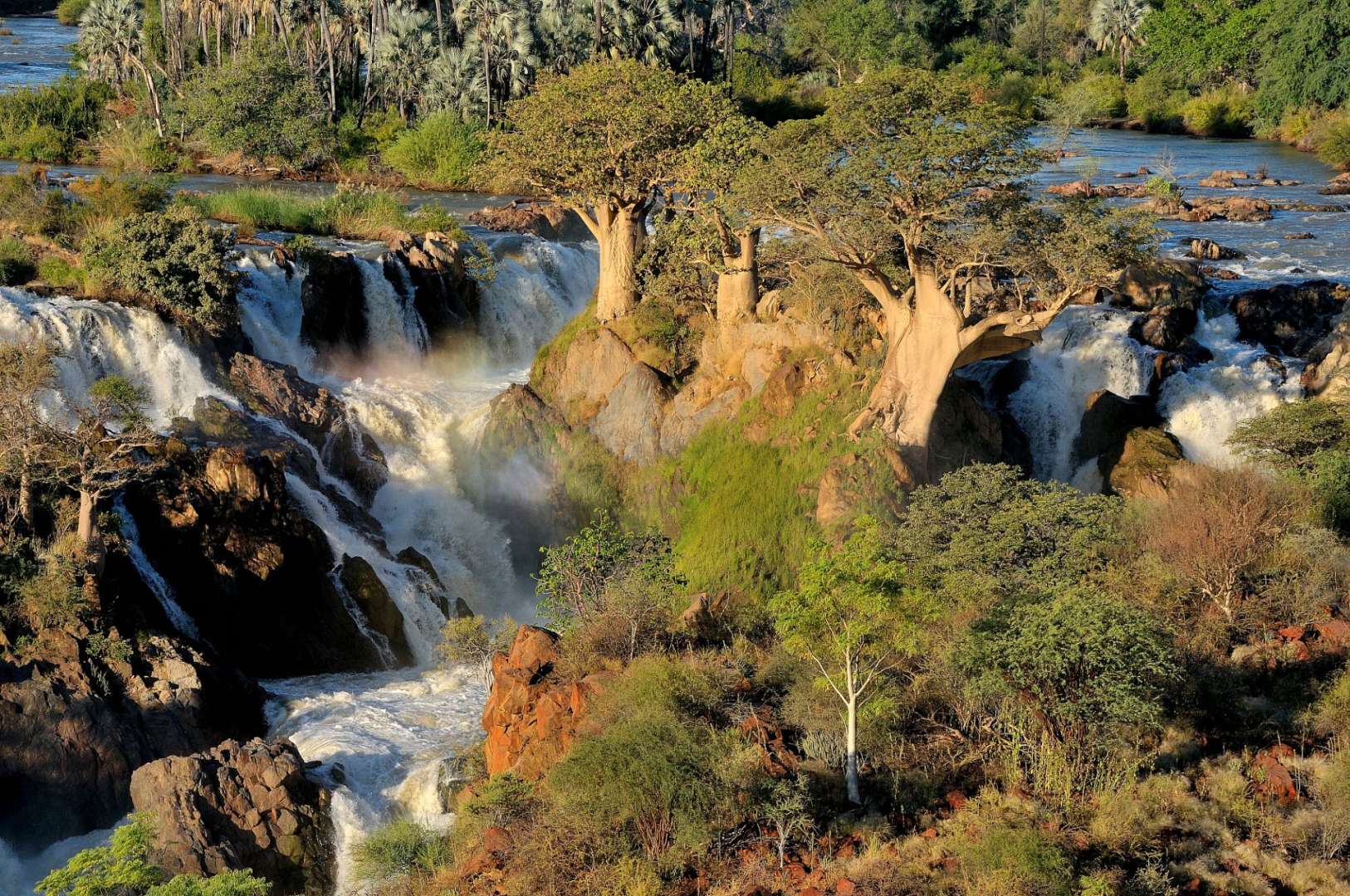 Ein Wasserfall inmitten eines üppigen Waldes