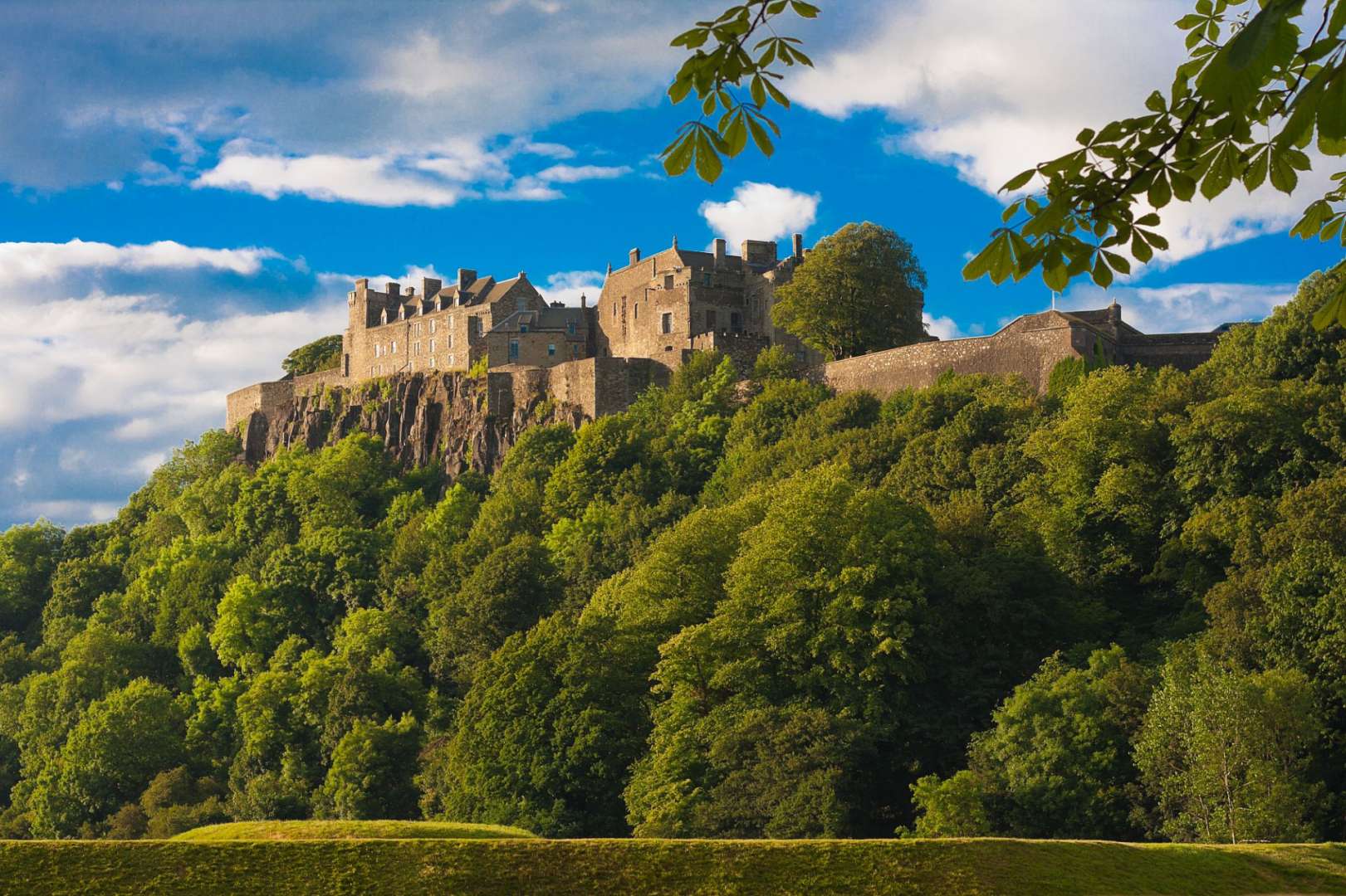 Ein großes Schloss sitzt auf einem Hügel über einem Wald