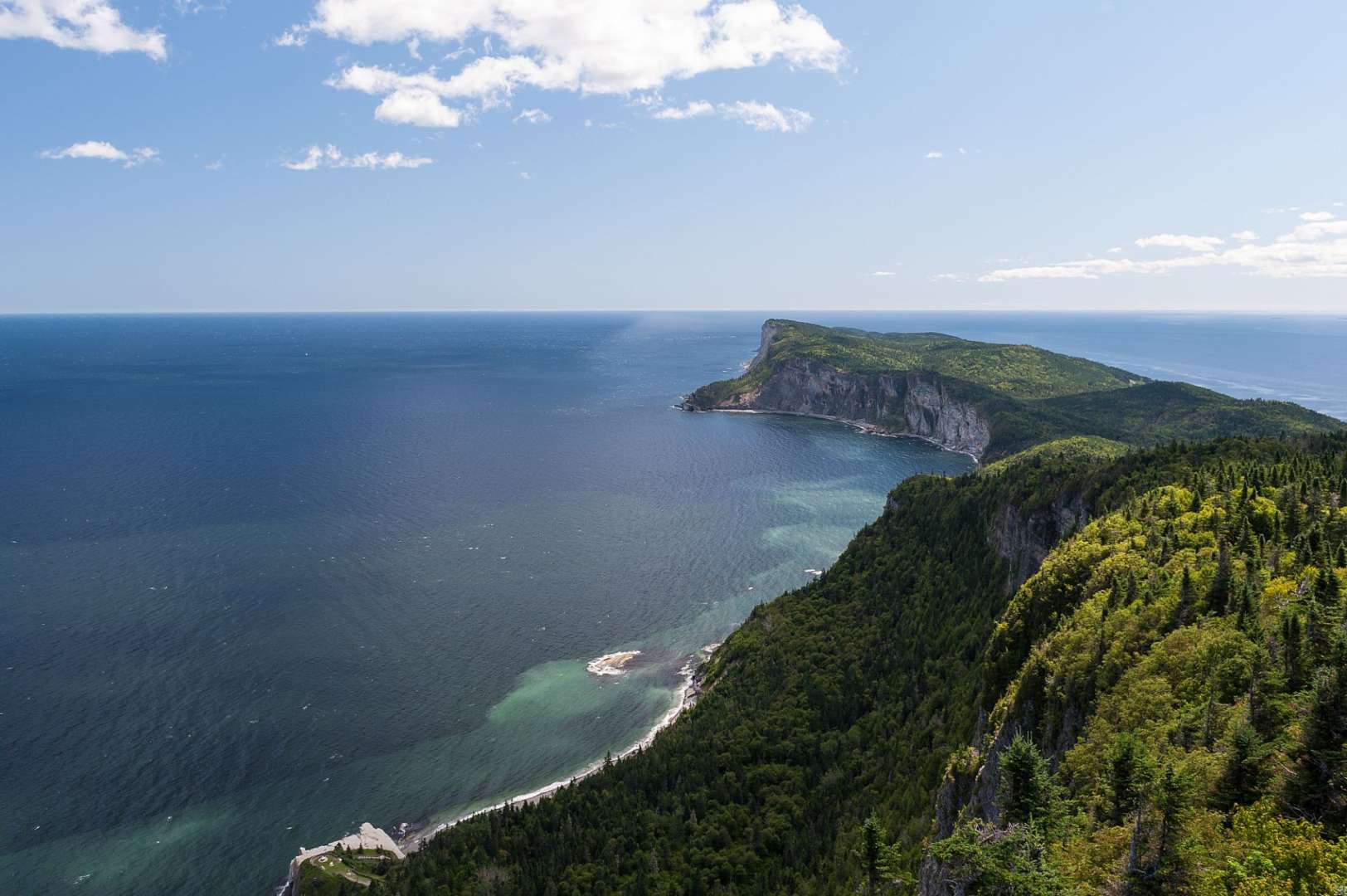 Ein Blick auf den Ozean von einer Klippe mit Bäumen