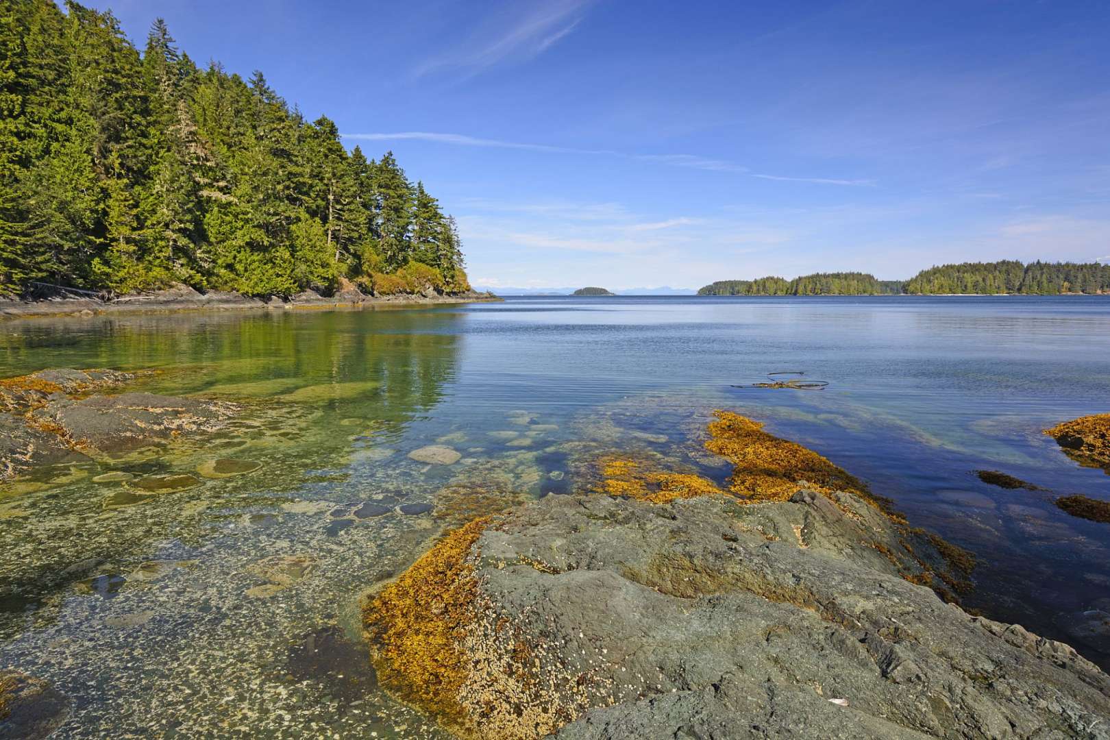 Ein See mit Bäumen im Hintergrund und Felsen im Vordergrund
