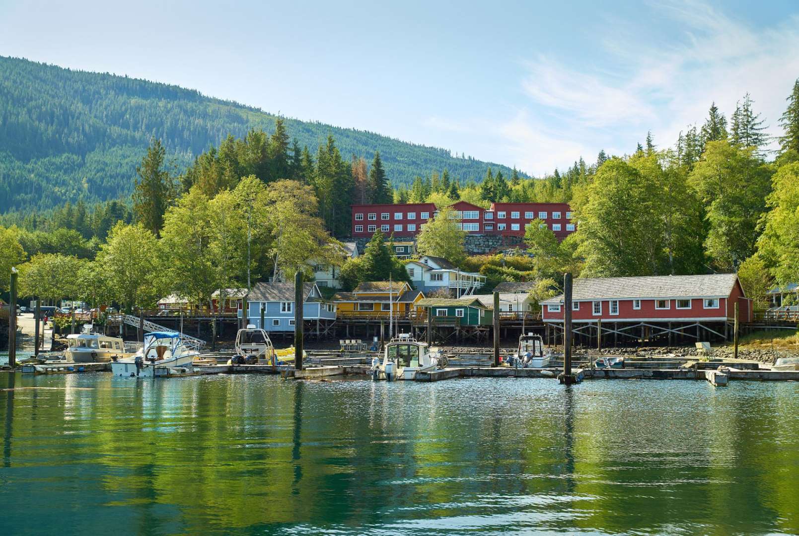 Blick über die Robson Bucht: Telegraph Cove