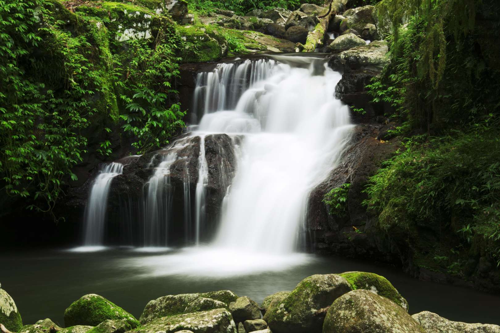 Ein Wasserfall inmitten eines grünen Waldes