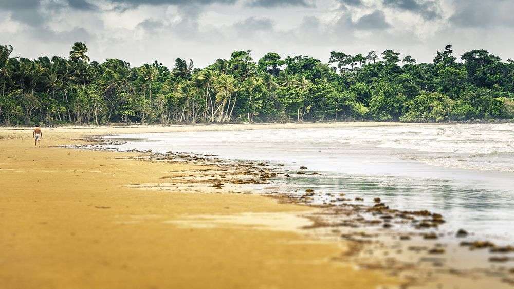 Ein Mann geht am Strand entlang mit Palmen im Hintergrund