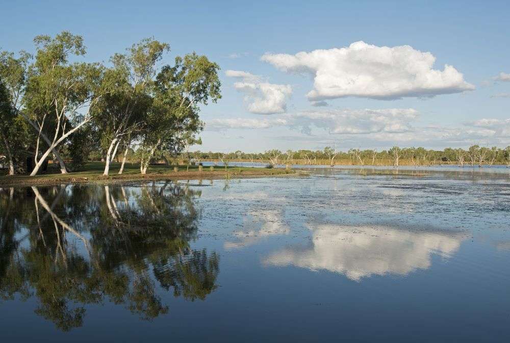 Ein See mit Bäumen und Wolken im Hintergrund