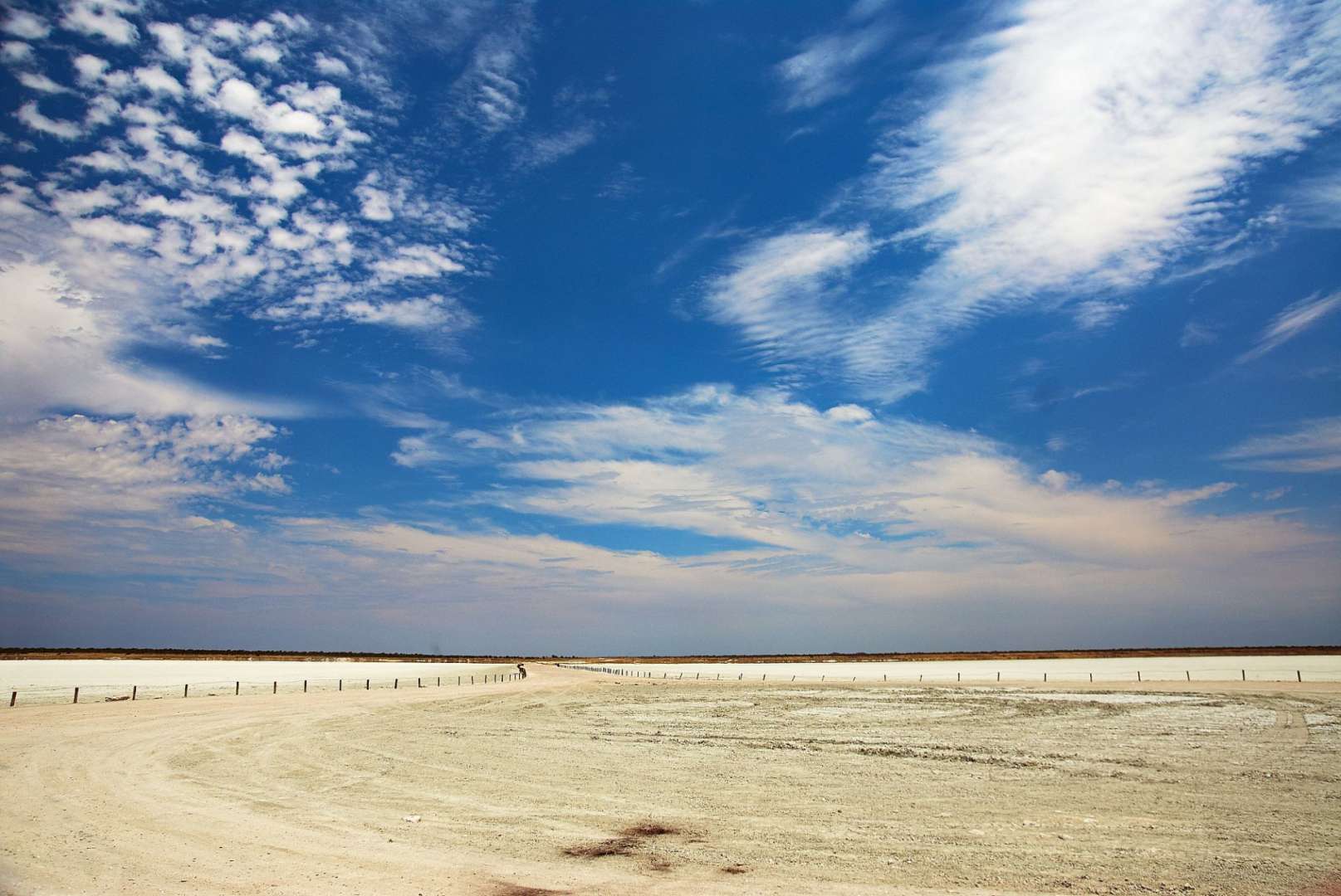 Ein Feld mit einem blauen Himmel und weißen Wolken darüber