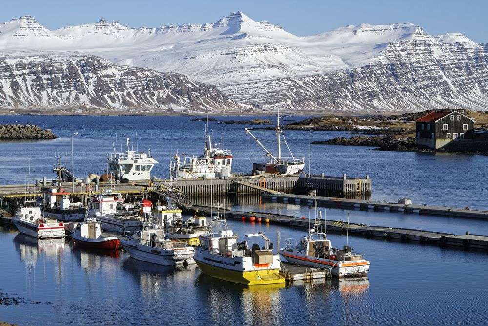 Eine Gruppe von Booten in einem Hafen mit Bergen im Hintergrund
