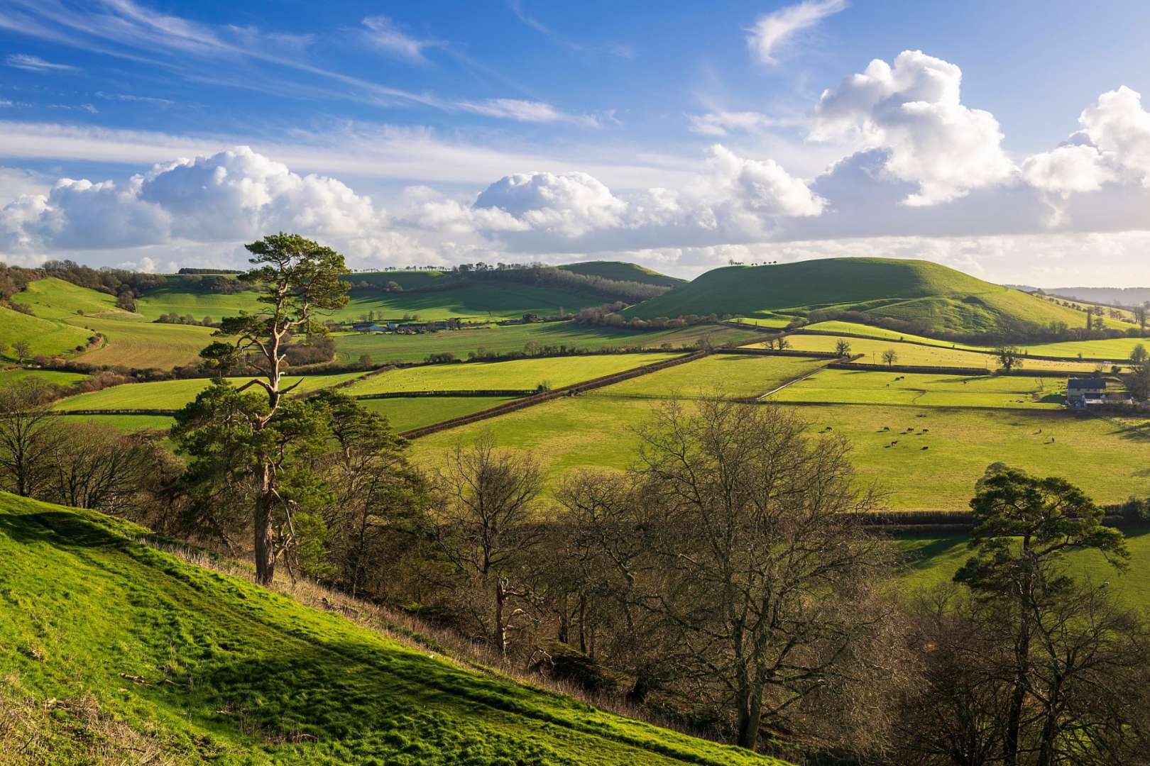 Ein Blick auf eine grüne Landschaft mit Hügeln im Hintergrund