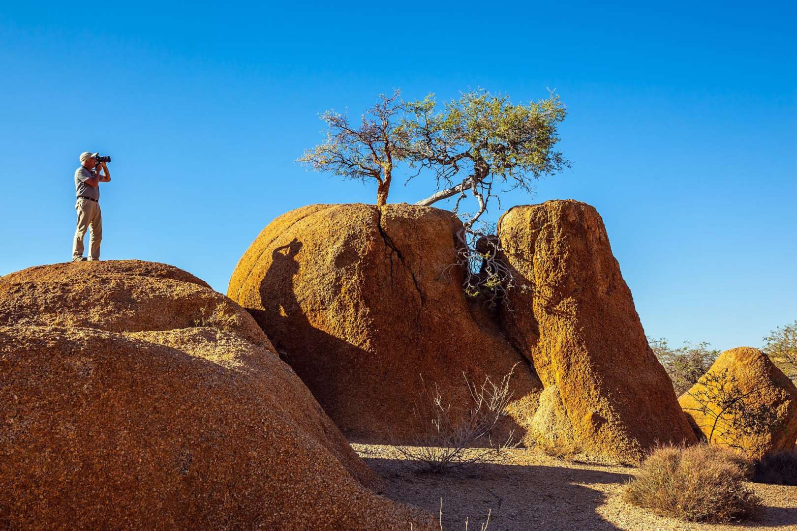 Ein Mann steht auf einem Felsen und fotografiert einen Baum