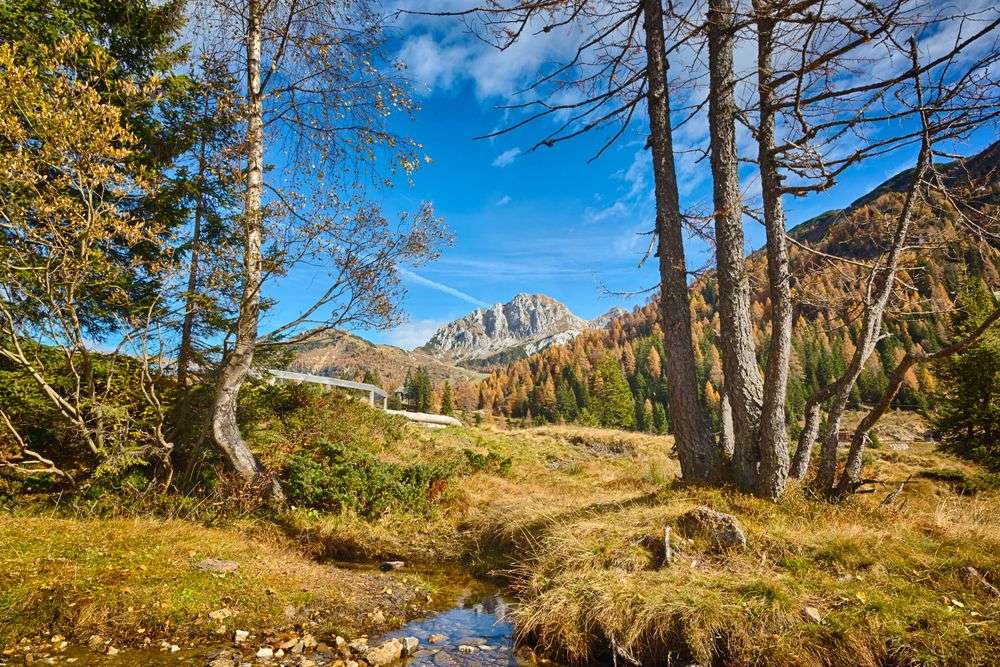 Ein Fluss fließt durch einen Wald mit einem Berg im Hintergrund