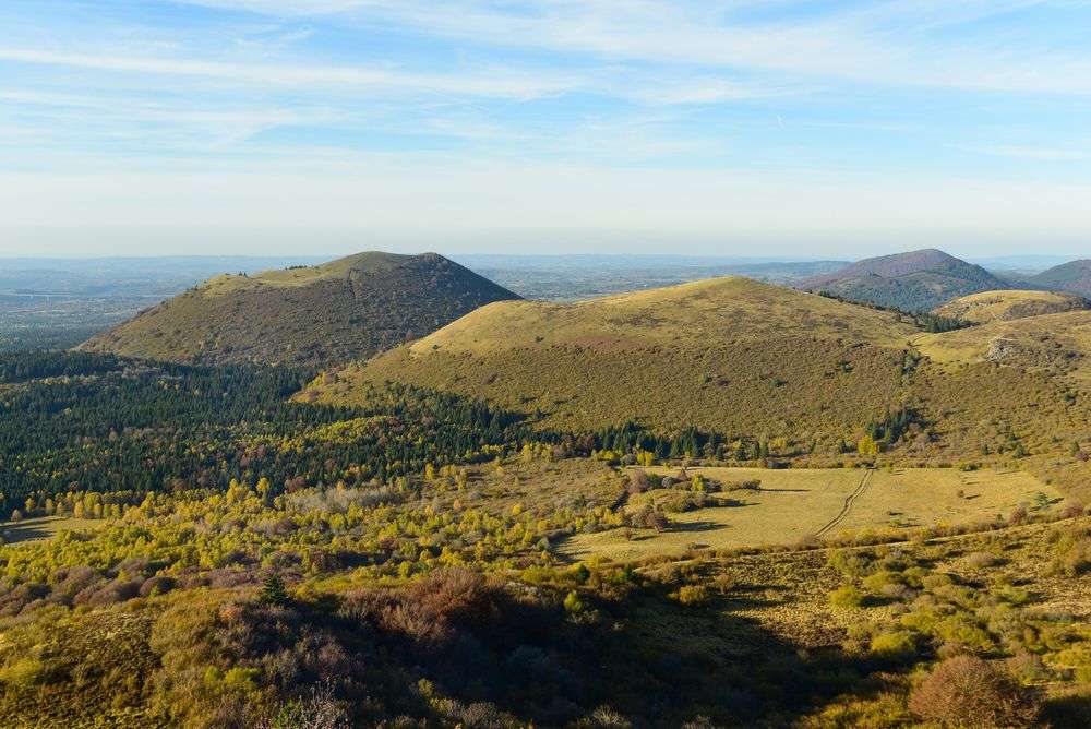 Ein Feld mit Bäumen und Bergen im Hintergrund