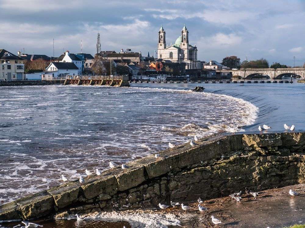 Eine Gruppe von Möwen steht am Ufer eines Flusses