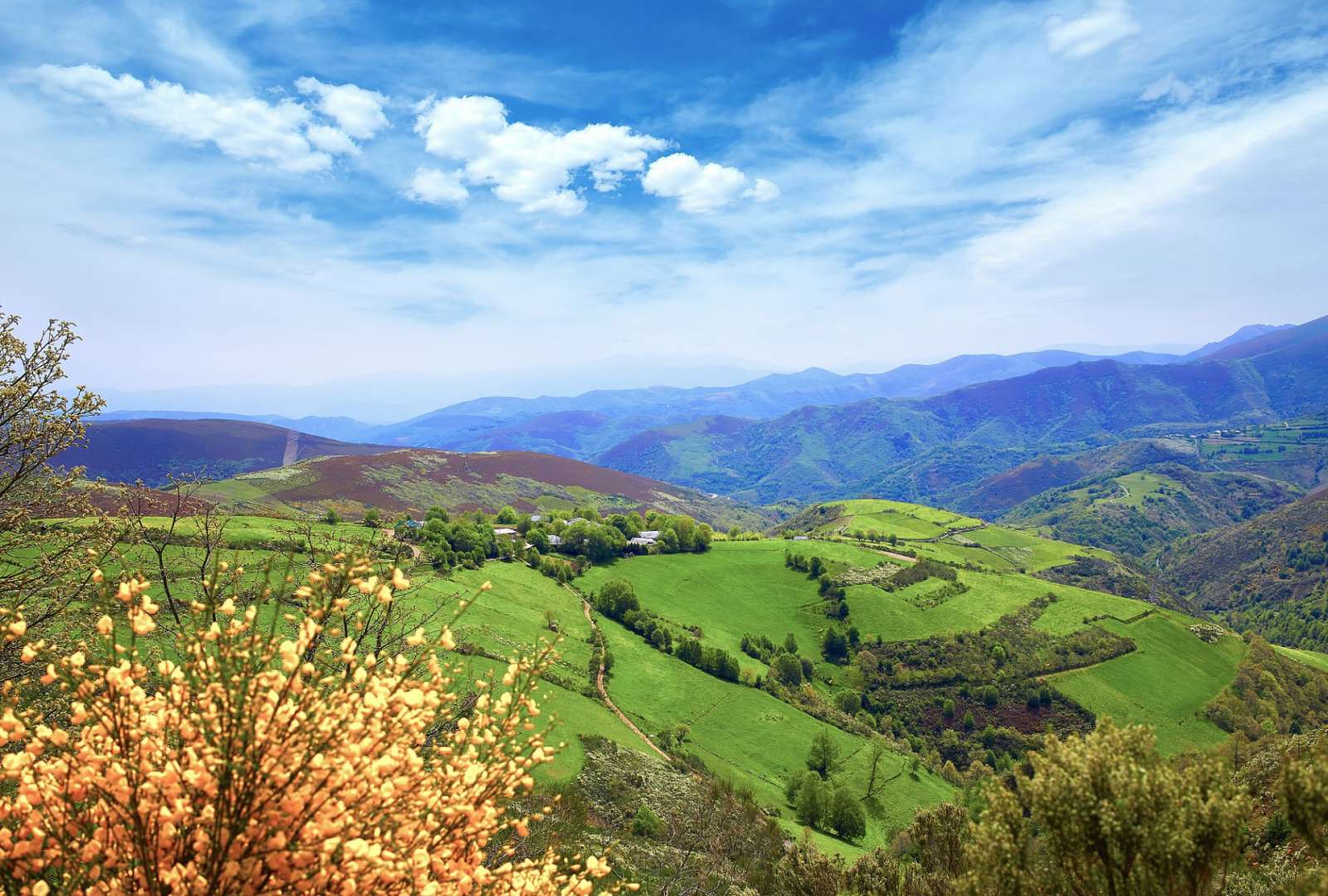 Ein Blick auf eine grüne Landschaft mit Bergen im Hintergrund