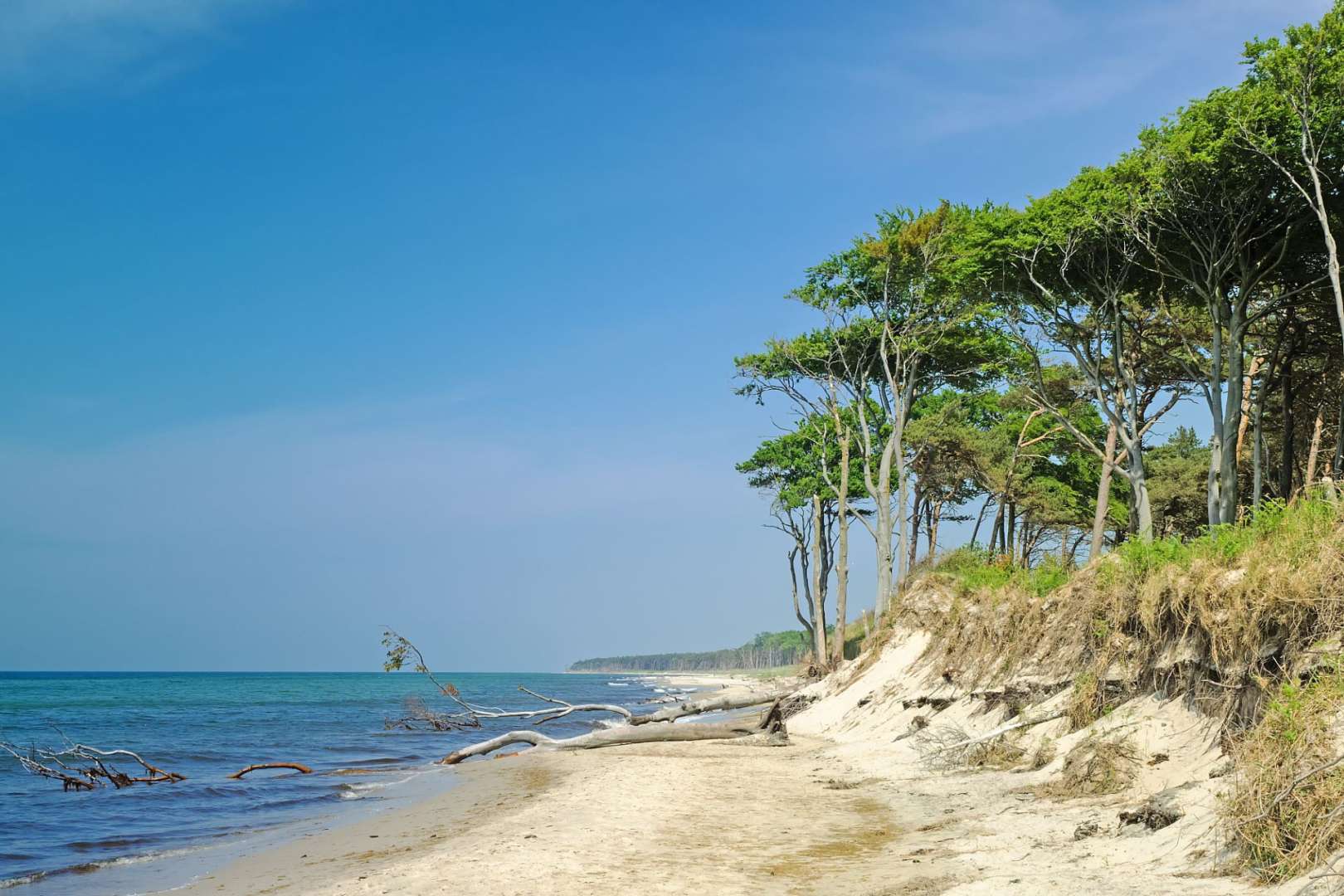 Ein Strand mit Bäumen an der Seite und einem gefallenen Baum