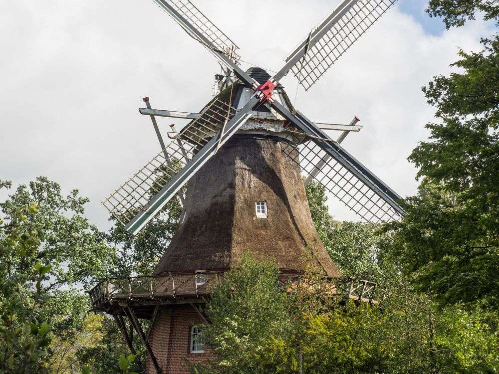 Eine Windmühle mit Strohdach steht inmitten von Bäumen