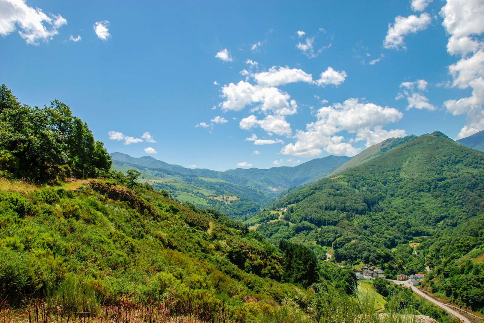 Ein Tal mit vielen Bäumen und Bergen im Hintergrund