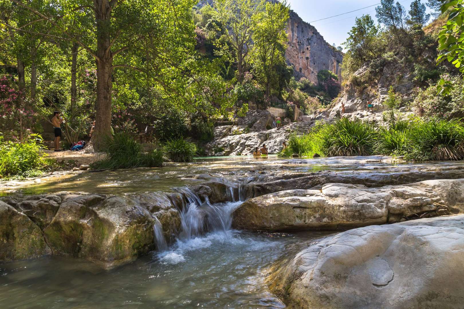 Ein Fluss fließt durch einen Wald mit Bäumen und Felsen