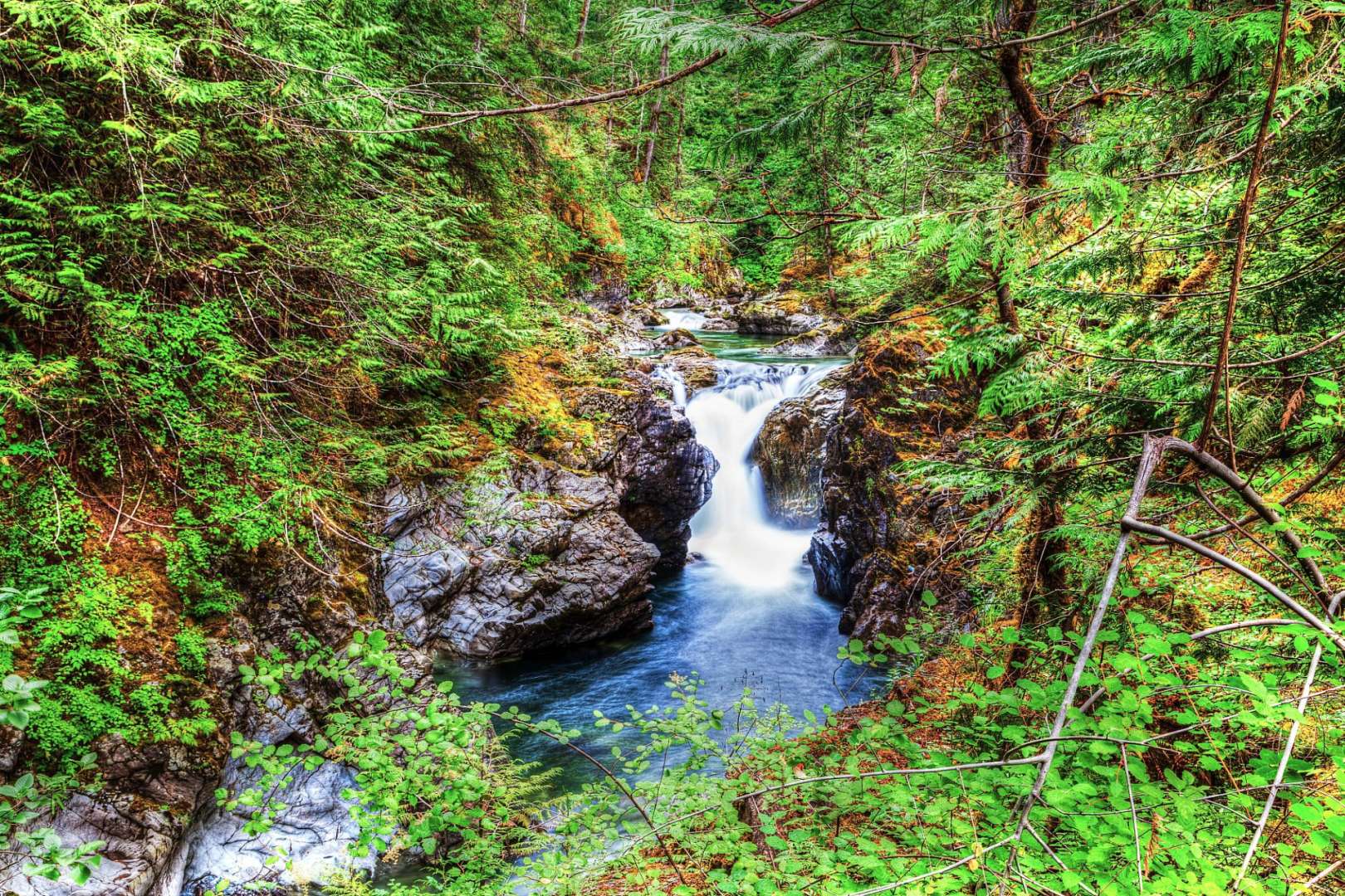 Ein Wasserfall inmitten eines grünen Waldes
