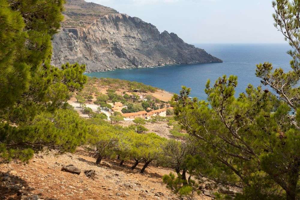 Ein Blick auf einen Strand von einem Hügel mit Bäumen