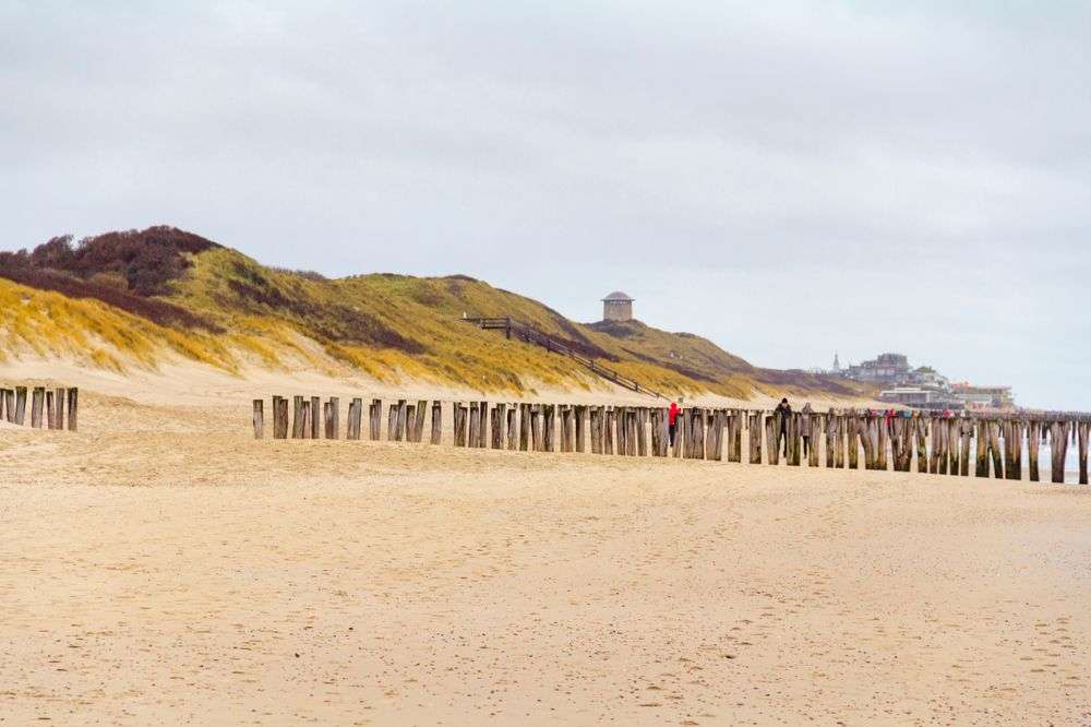 Eine Reihe von Holzpfosten auf einem Sandstrand