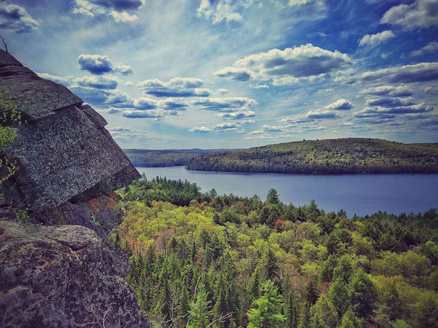 Ein Blick auf einen See mit Bäumen im Vordergrund