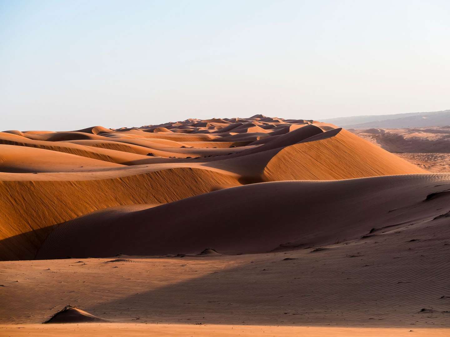 Eine Wüste mit vielen Sanddünen und einem klaren Himmel