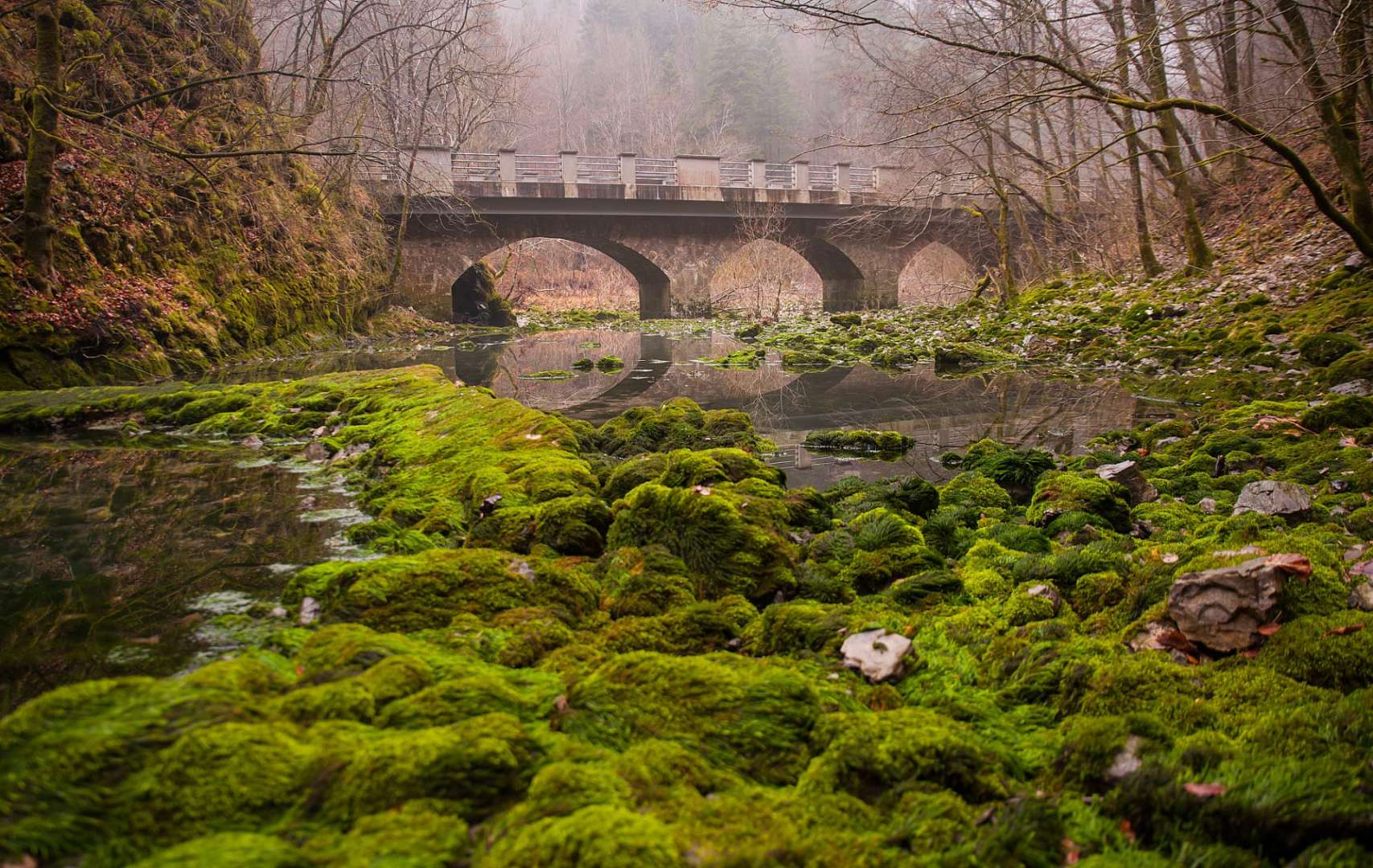 Eine Brücke über einen Fluss im Wald