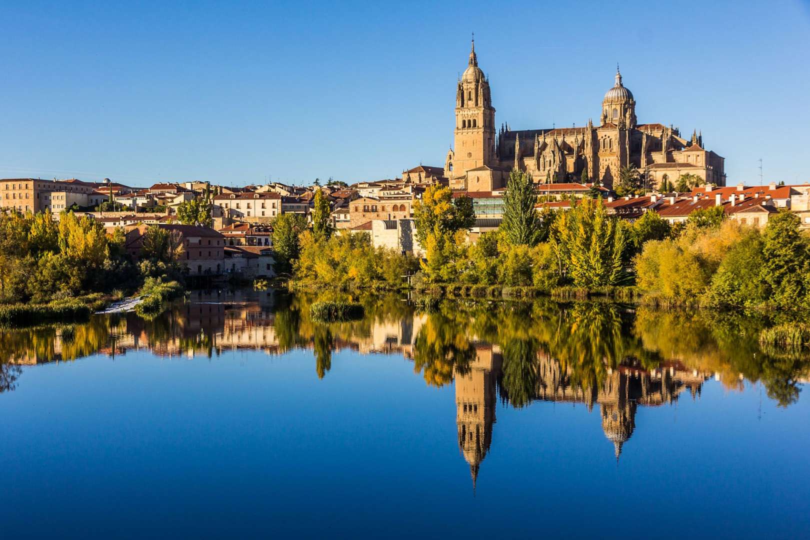 Eine große Kathedrale spiegelt sich in einem Fluss