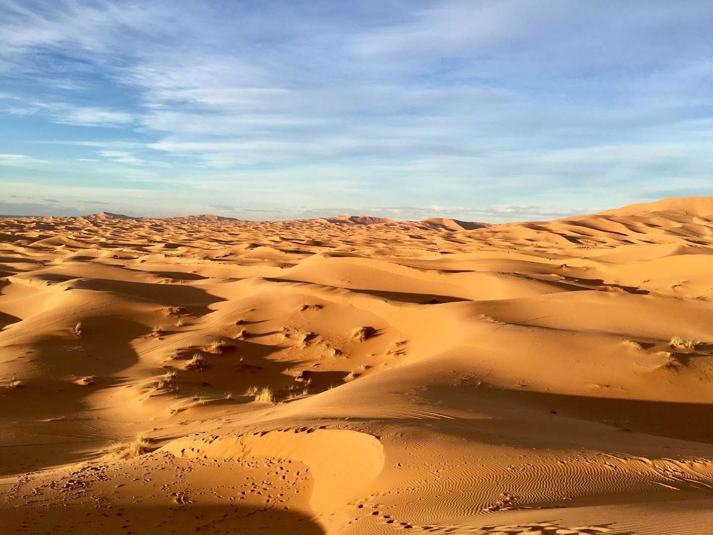 Eine Wüste mit vielen Sanddünen und einem blauen Himmel
