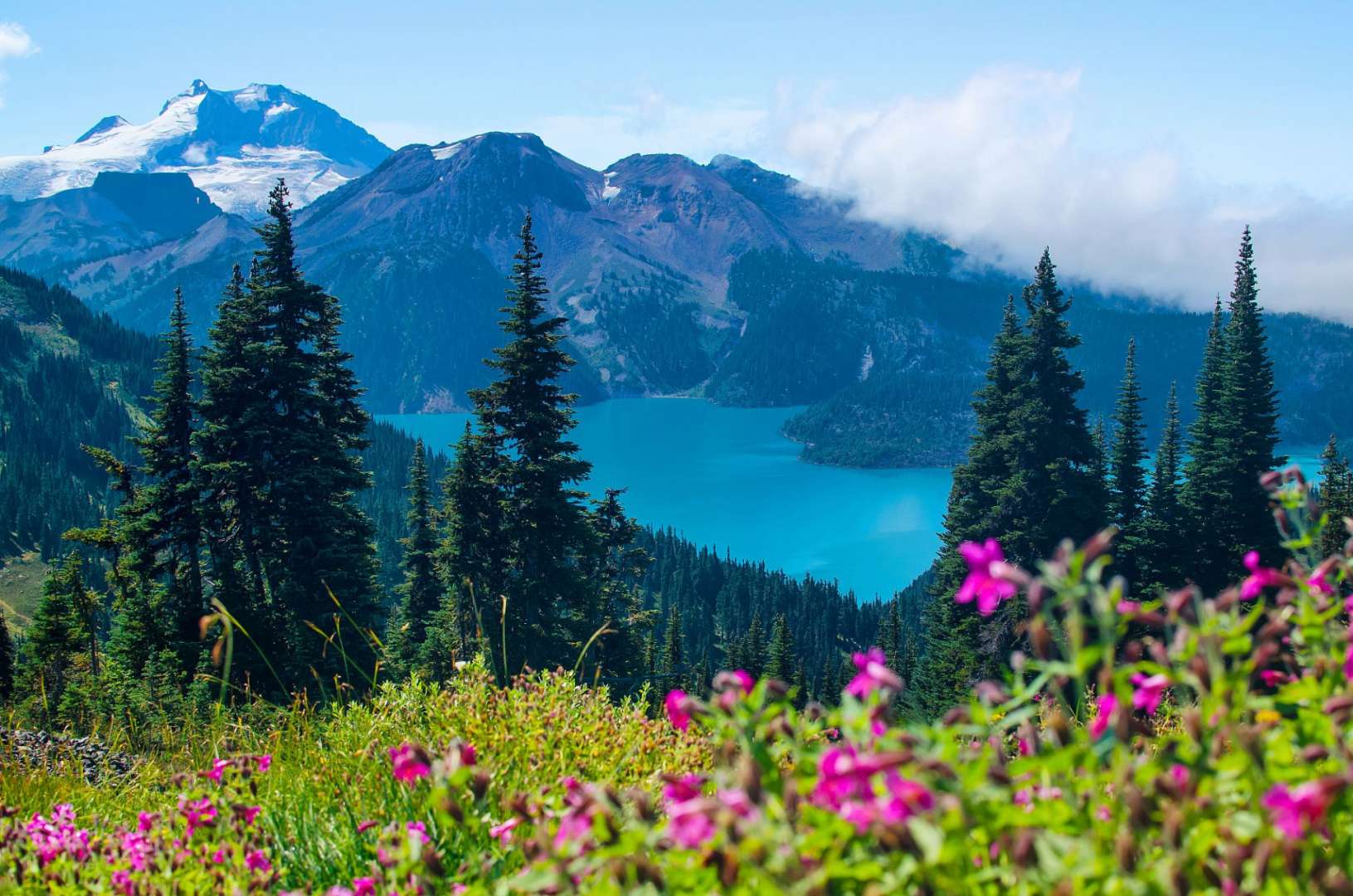 Ein See umgeben von Bergen und Bäumen mit rosa Blumen im Vordergrund