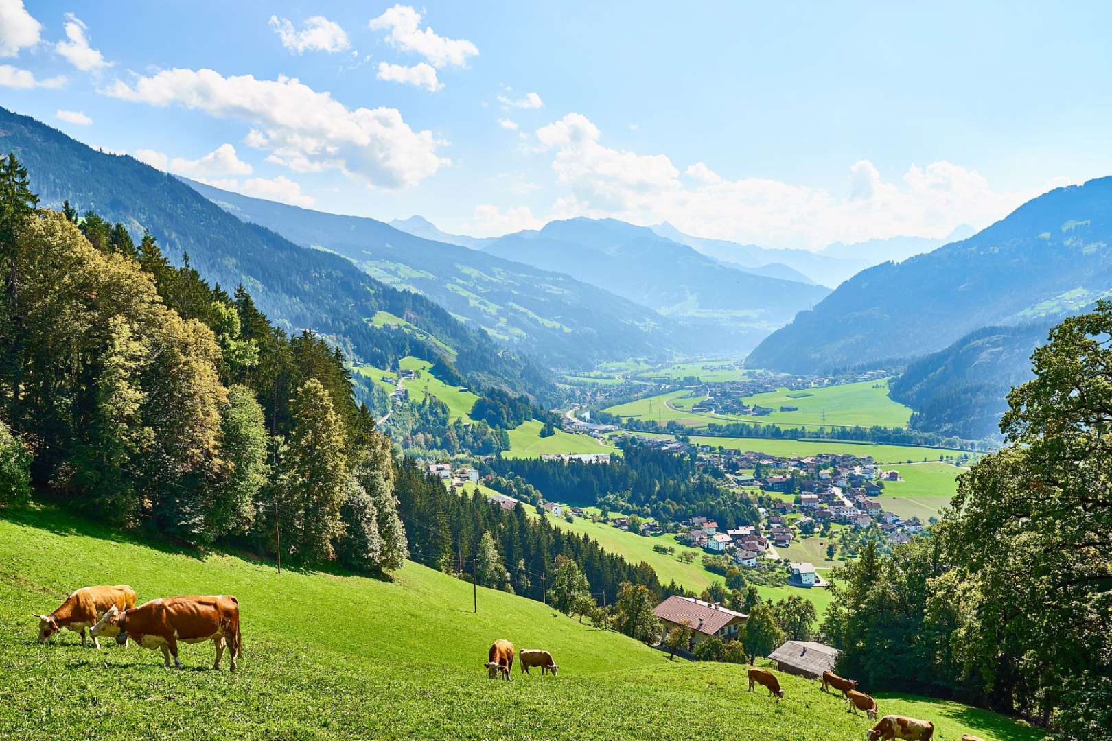 Almwiesen und urige Dörfer vor imposanten Gipfeln: Zillertal