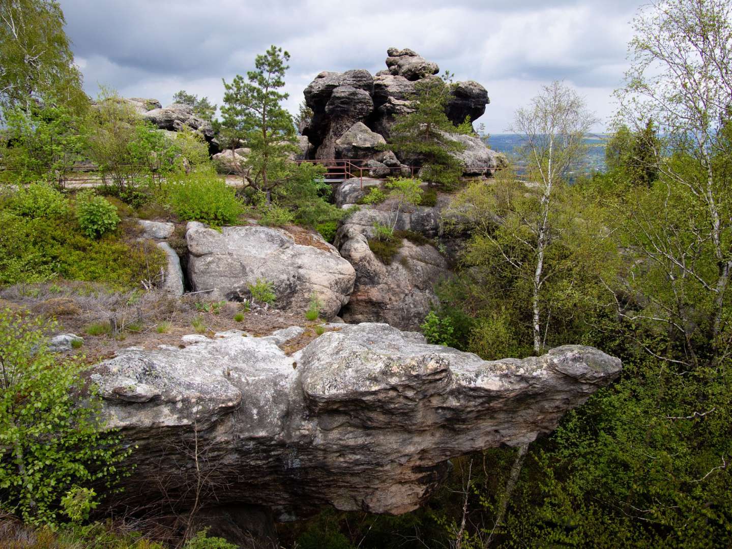 Eine Brücke führt zu einem großen Felsen inmitten eines Waldes