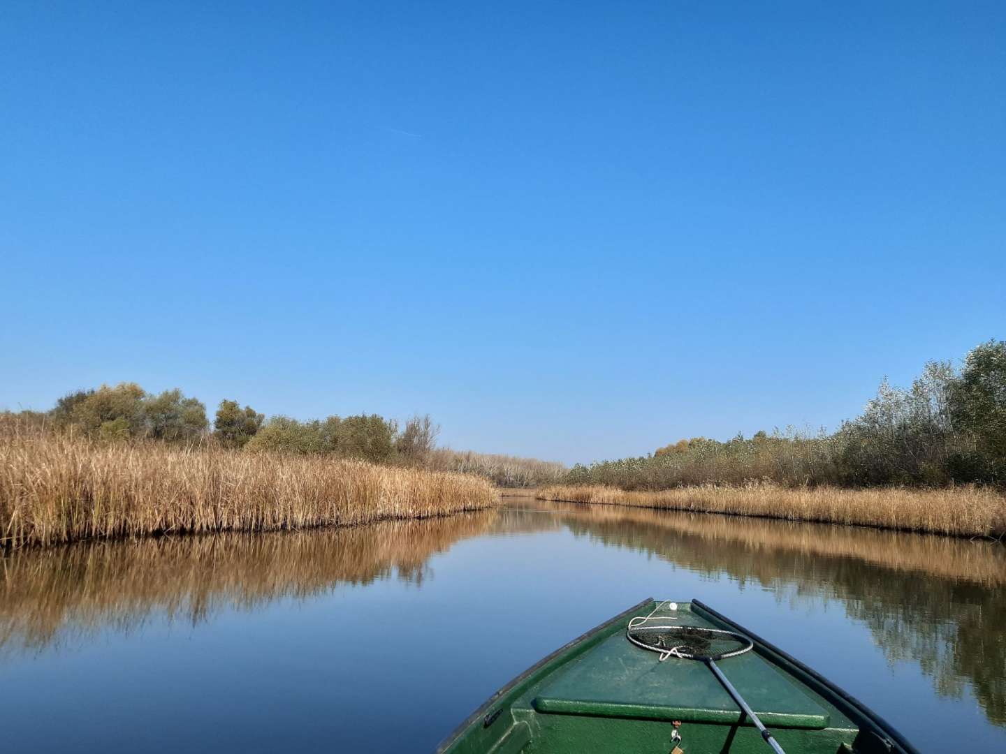 Ein grünes Boot fährt auf einem Fluss