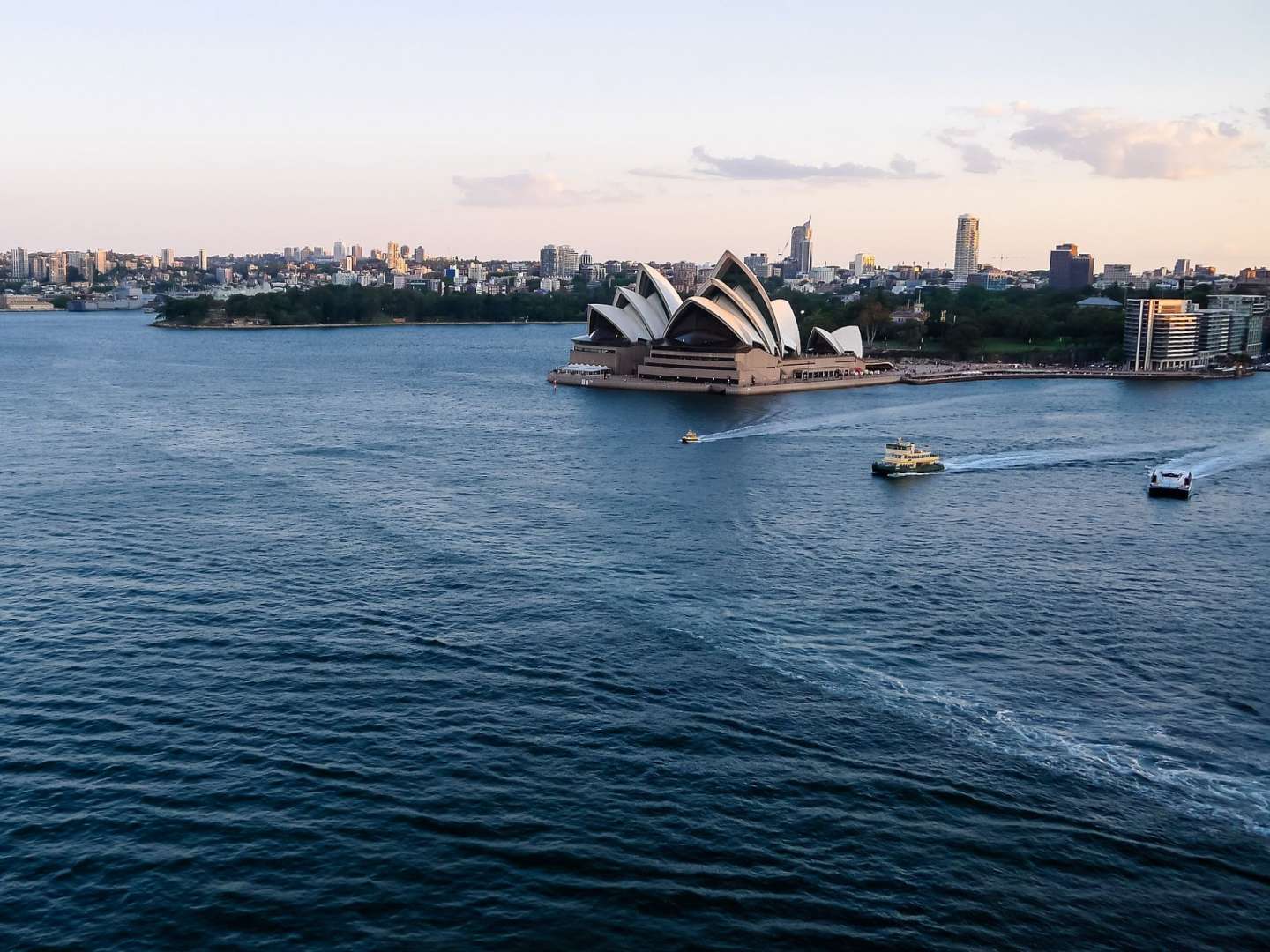 Die sydney opera house sitzt in der Mitte eines großen gewässers