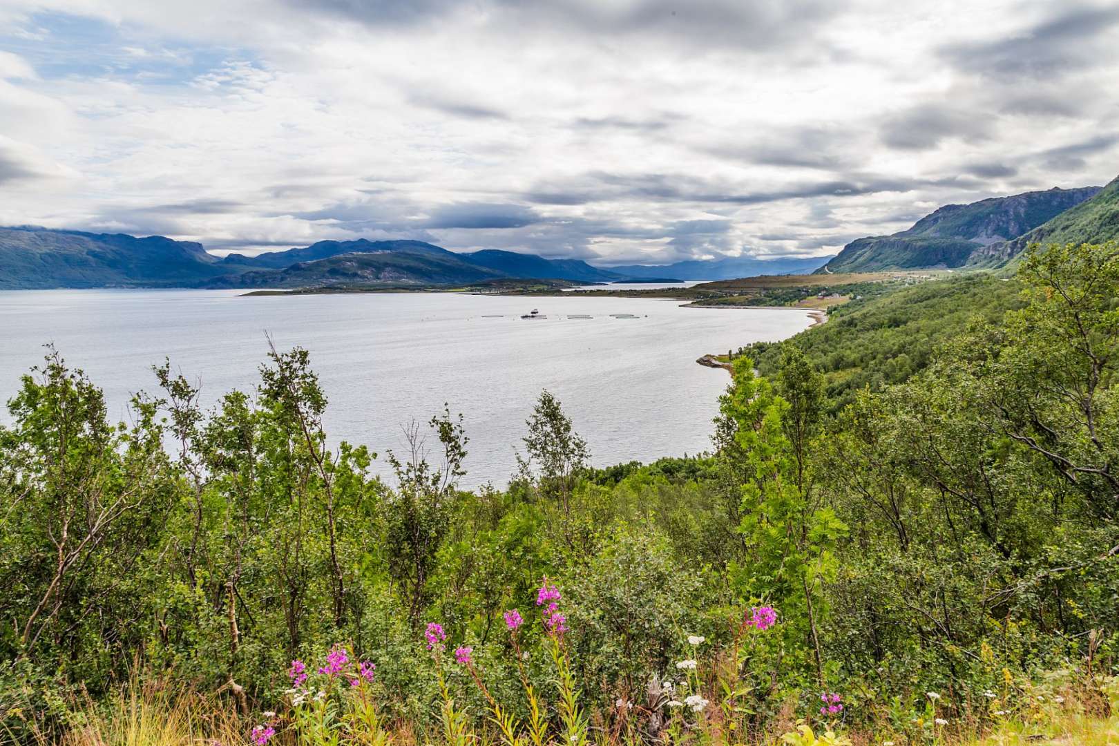Ein großer See umgeben von Bäumen und Bergen