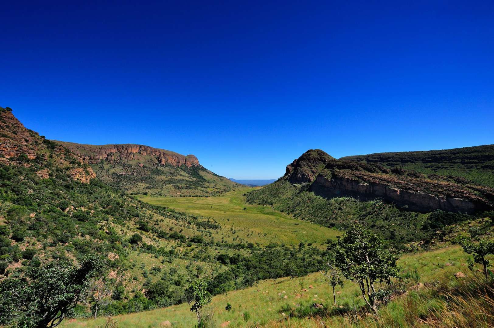 Ein Tal mit einem Berg im Hintergrund und einem blauen Himmel