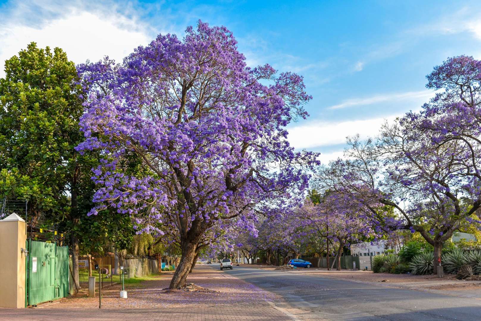 1886 von Voortrekkern gegründet: Polokwane