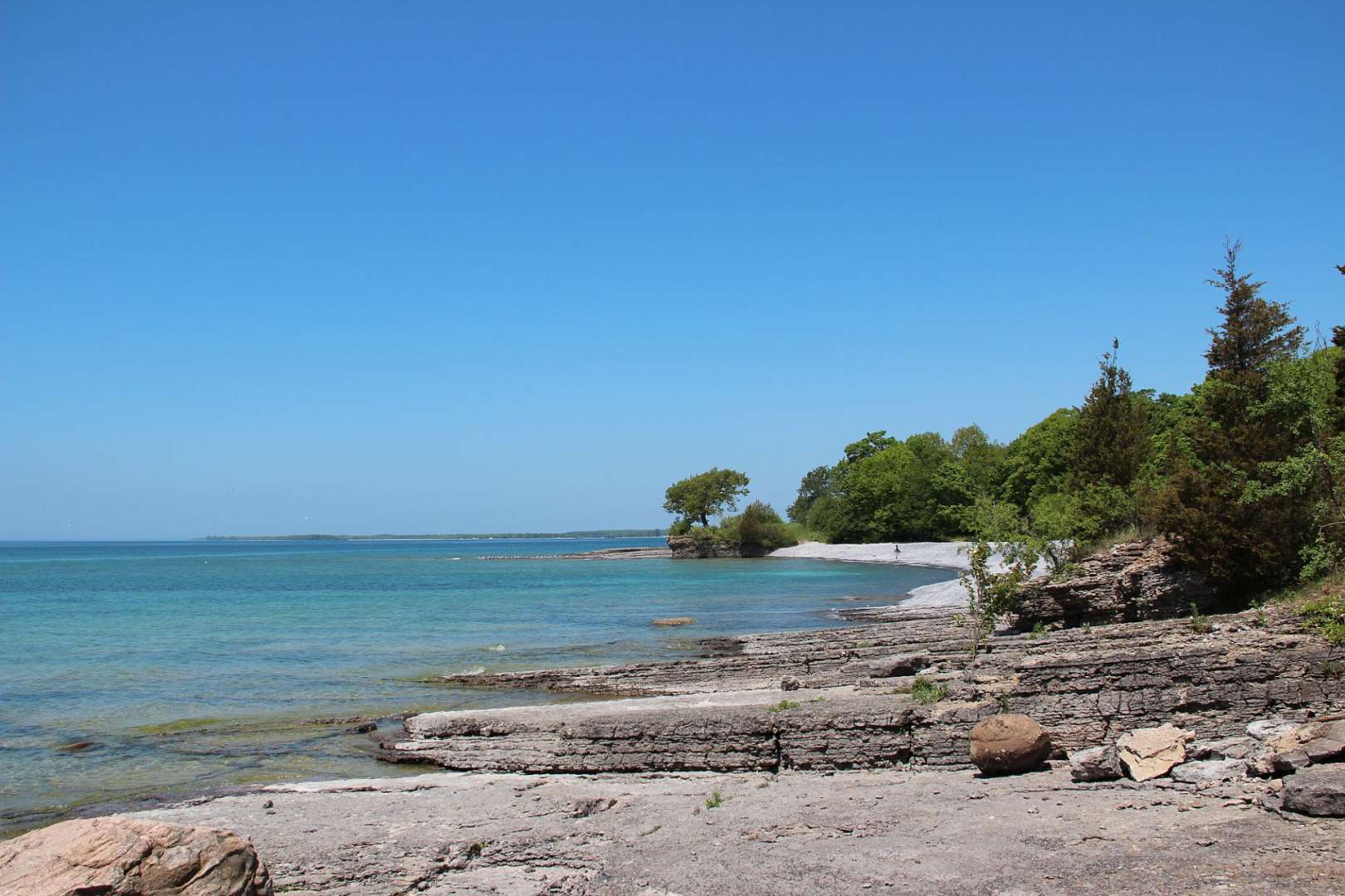 Ein Strand mit Felsen und Bäumen an einem sonnigen Tag