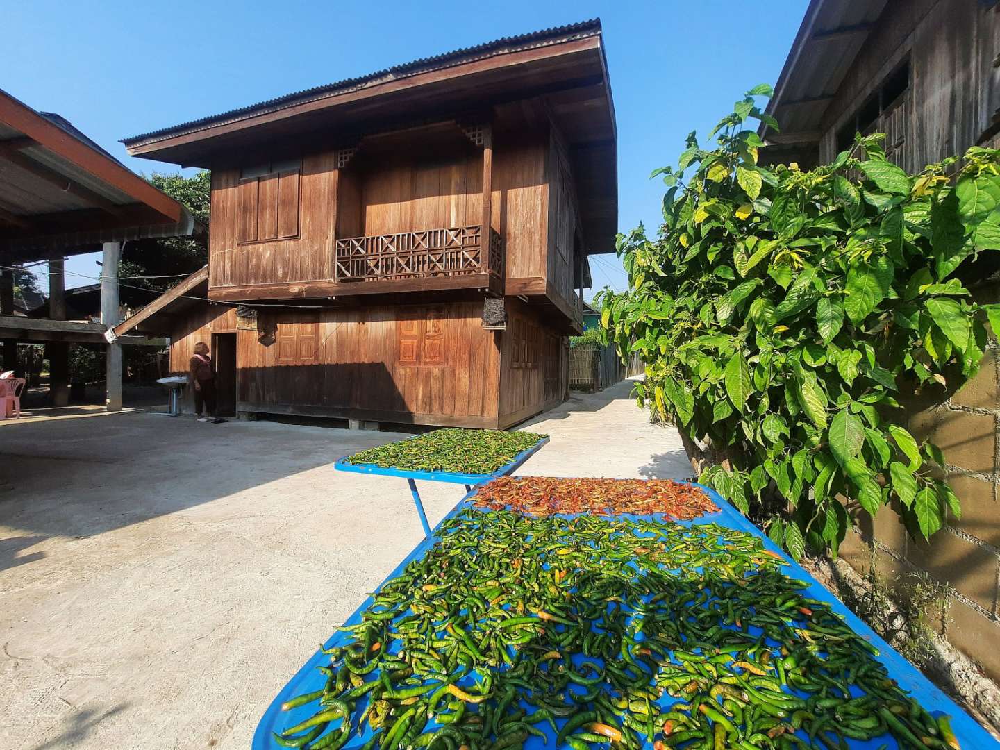 Neben einem hölzernen Haus steht ein Tisch mit grünen Paprikan darauf