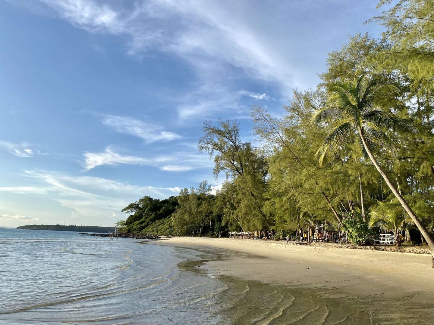 Ein Strand mit Palmen und Bäumen an einem sonnigen Tag